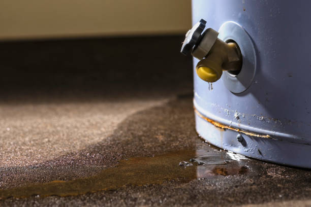 Trusted AL Water damage restoration Experts