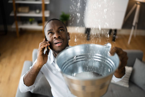 Best Flood restoration services  in Brilliant, AL