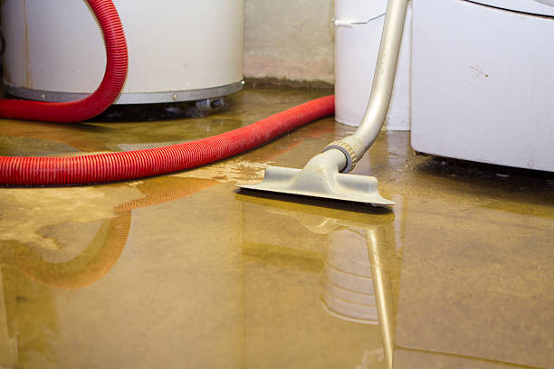 Best 24-hour water damage restoration  in Brilliant, AL