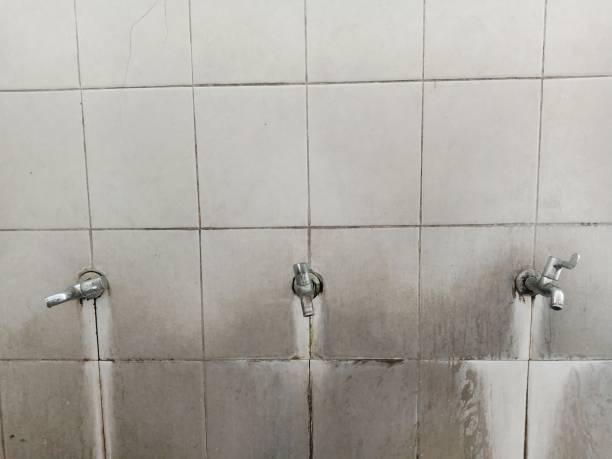 Best Sewage cleanup and water damage restoration  in Brilliant, AL