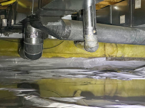 Best Carpet water damage restoration  in Brilliant, AL